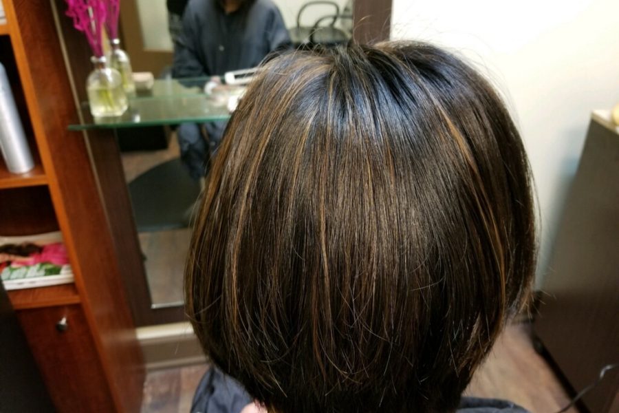 short dark brown bob